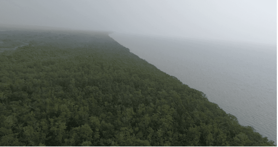 Harmonizing people, coastlines, and nature-based solutions