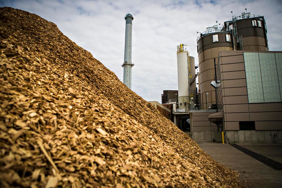 Biomass Energy: Is It a Hidden Hero or a Silent Villain?
