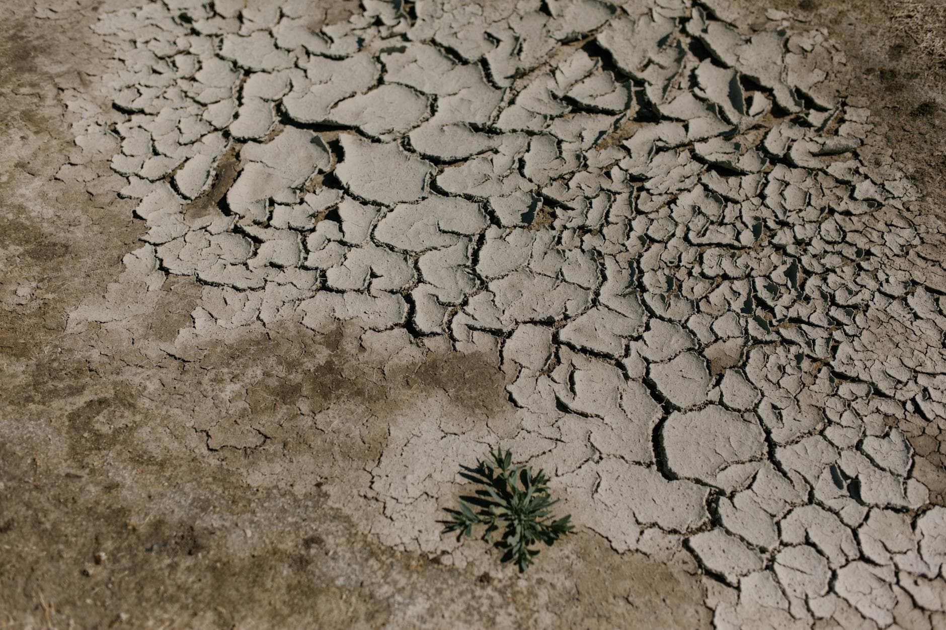 cracked dry ground in desert area