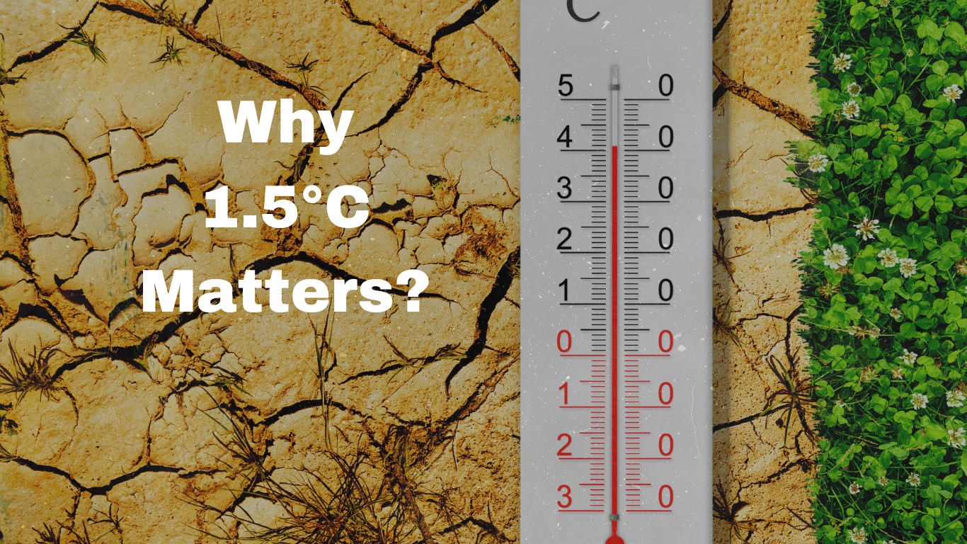 Why 1.5°C matters?
