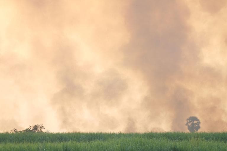 WMO highlight links between Air Quality and Climate Change