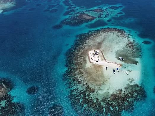 Deep Connections, Deeper Risks (Part 3): Deep Sea Mining is the Ultimate Betrayal of Our Marine Friends