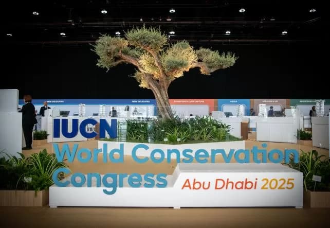 Global momentum builds for fossil fuel non-proliferation treaty
