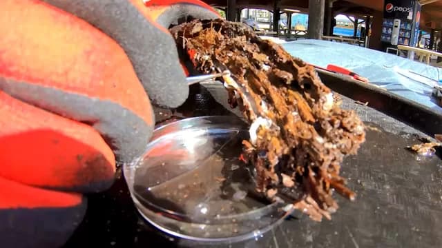 Unlocking the Ocean’s Pharmacy: How Marine Life Is Powering the Future of Medicine