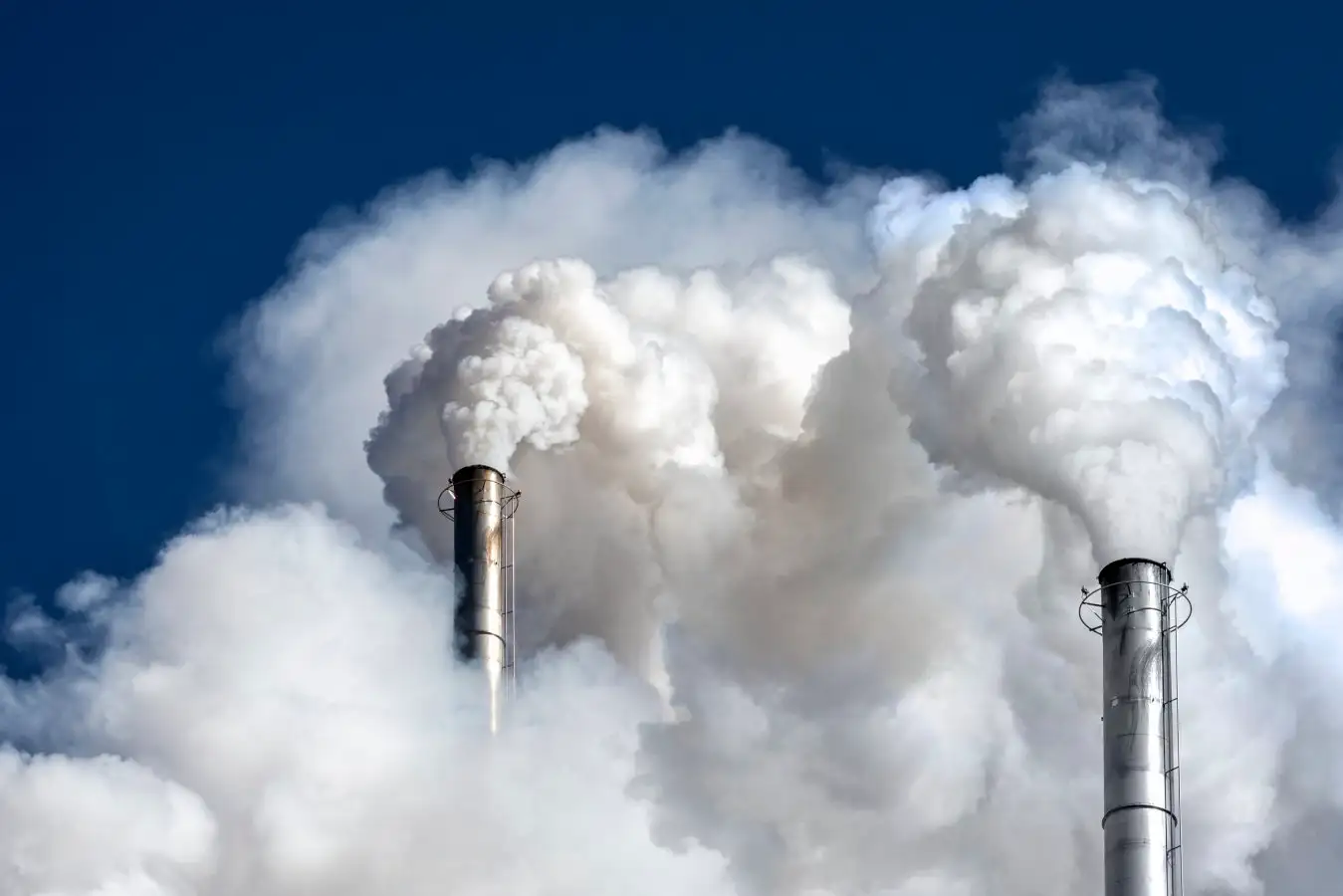 Carbon offset system is broken, new analysis warns