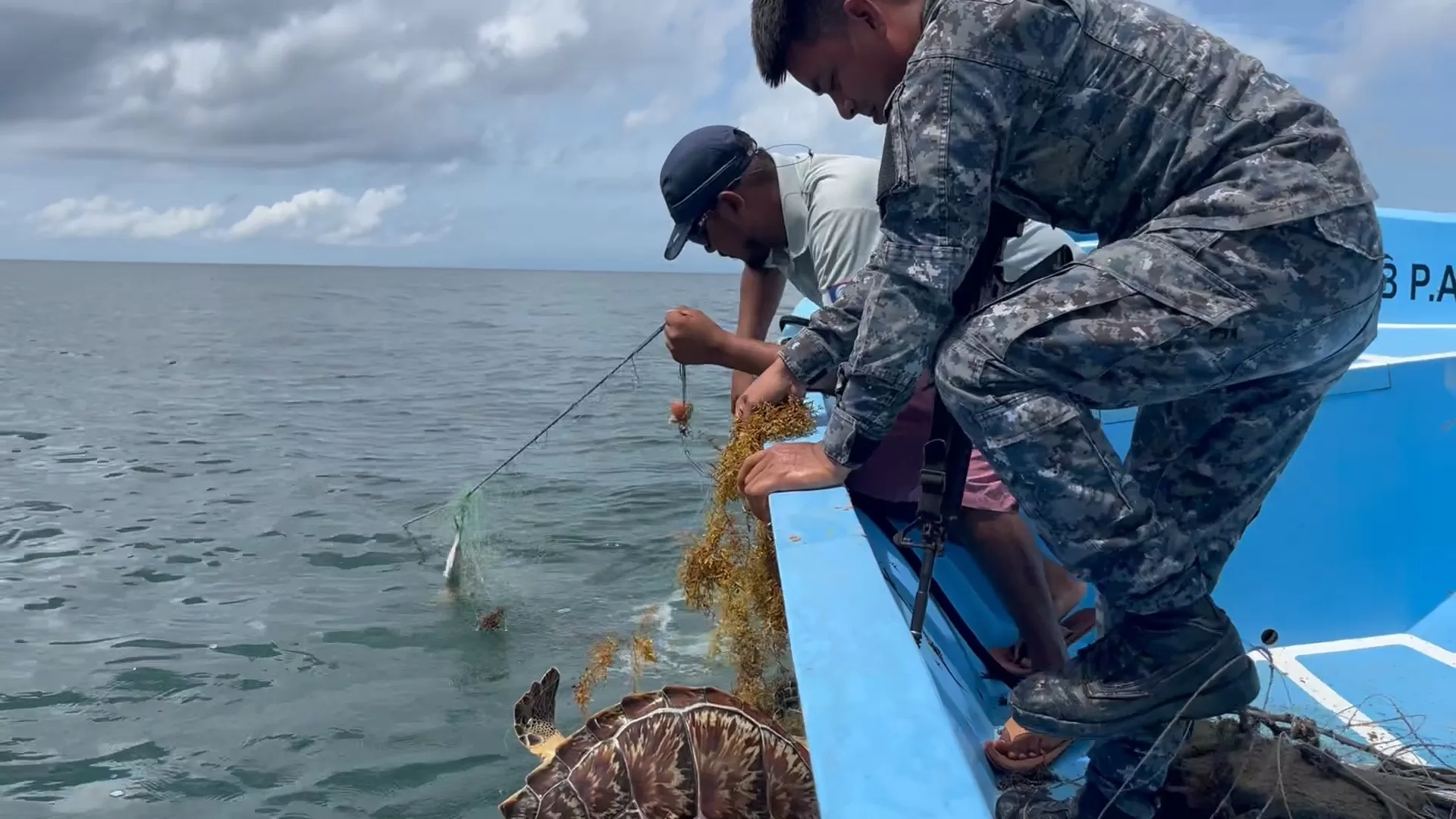 two people pulling a large dead turtle caught in a net into a boat.