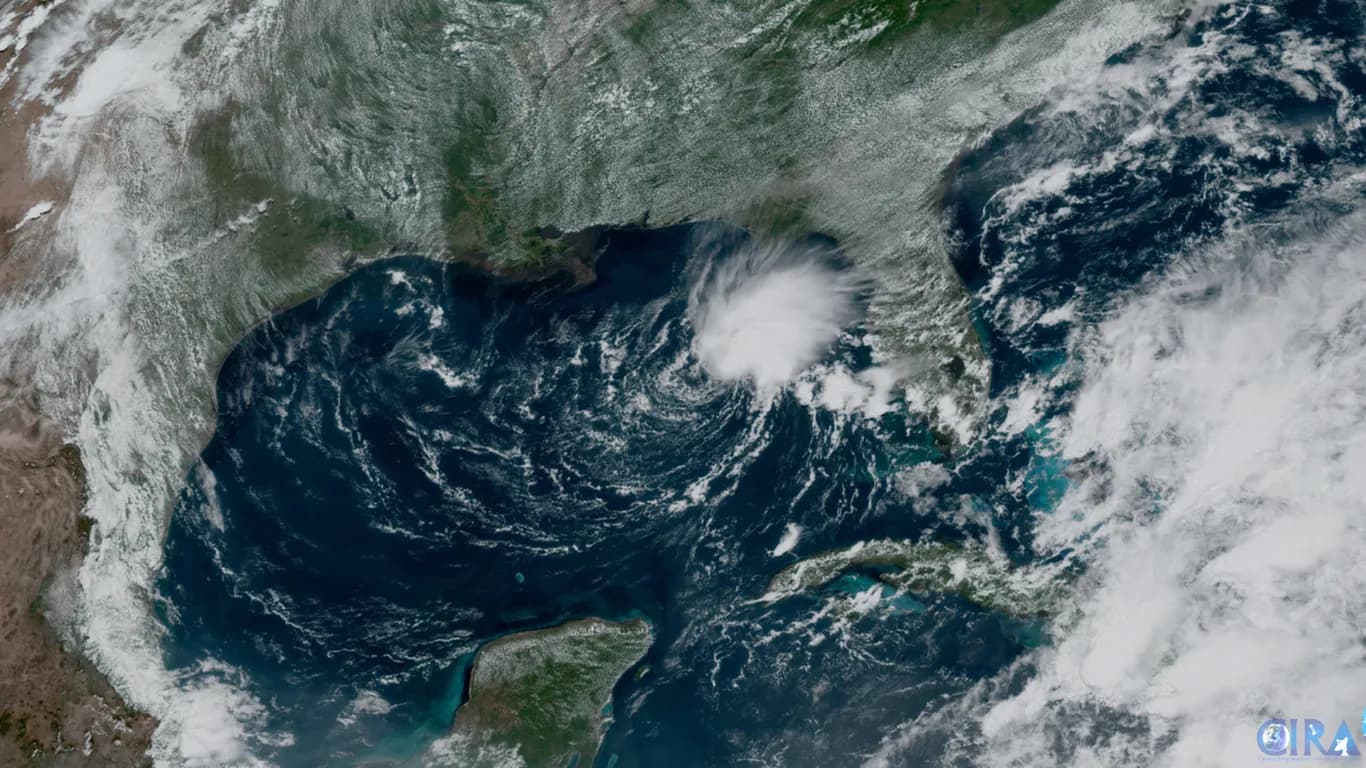 Tropical Storm Arlene in the the east-central Gulf of Mexico viewed from a satellite on June 2. Satellite image- CIRA:RAMMB