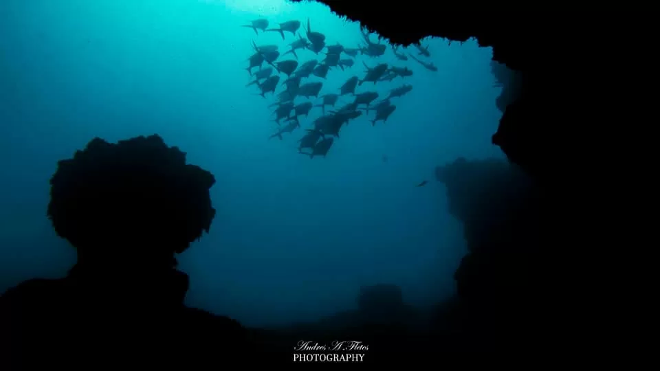 Deep Connections, Deeper Risks (Part 1): As if the Climate Crisis Wasnât Enough, Greedy Mining Companies Want to Plunder the Ocean
