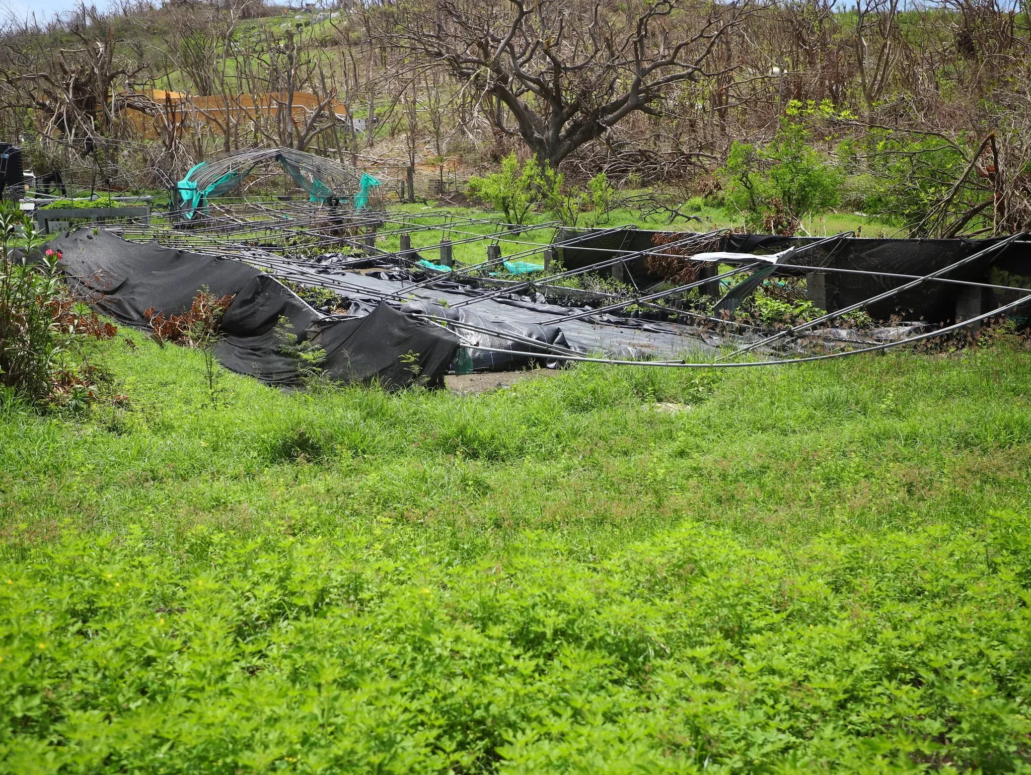 Savings Alone Can’t Weather the Storm: Stronger Climate Protection for the Caribbean